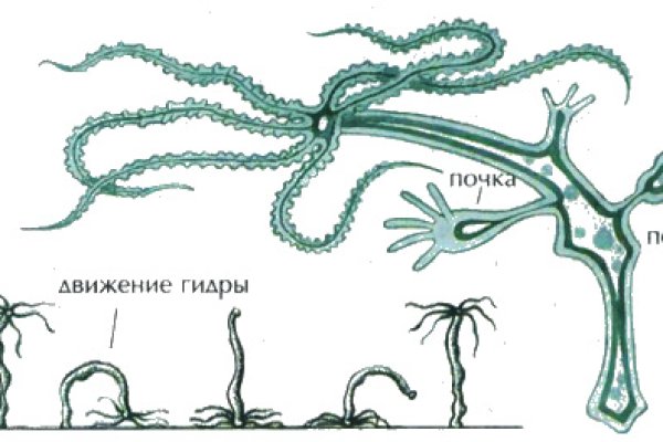 Сайт кракен тор браузера