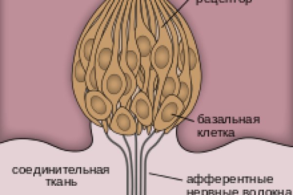 Кракен макет плейс