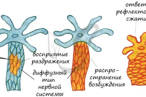 Ссылка на кракен tor