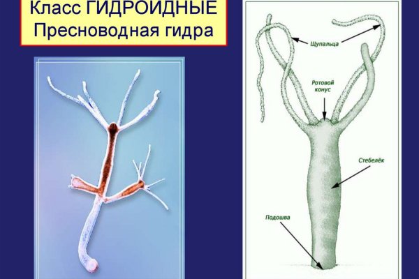 Кракен маркет