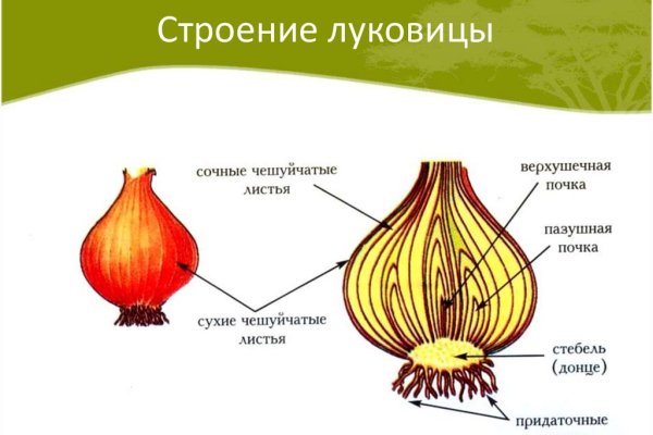 Кракен даркнет что известно